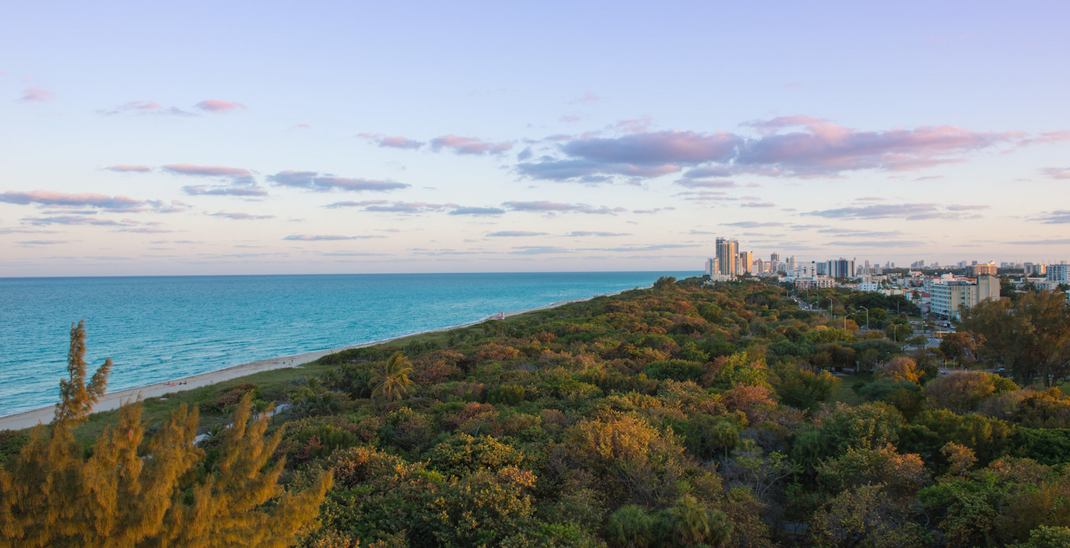 Eighty Seven Park photo 4
