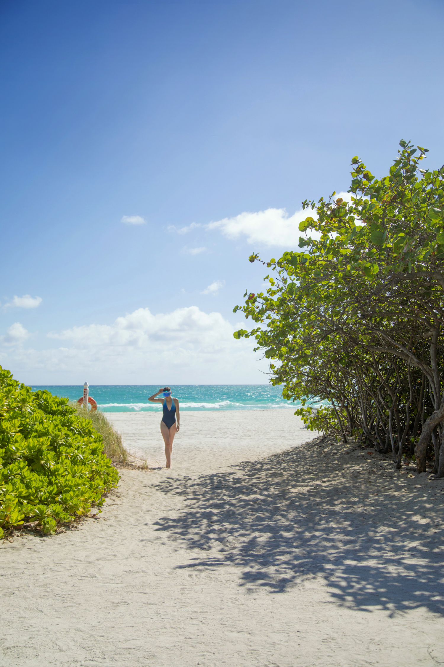 Arte Surfside photo 16