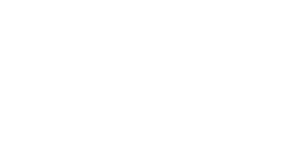 Ritz Carlton South Beach logo