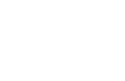 Ritz Carlton Orlando logo
