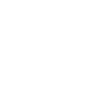 ALBA Palm Beach logo