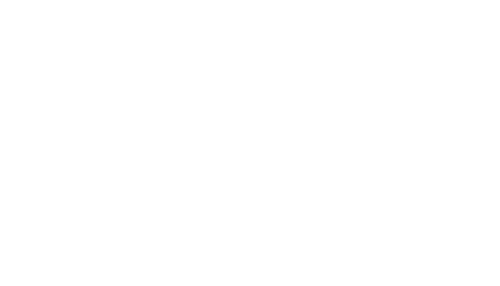 9900 WEST logo