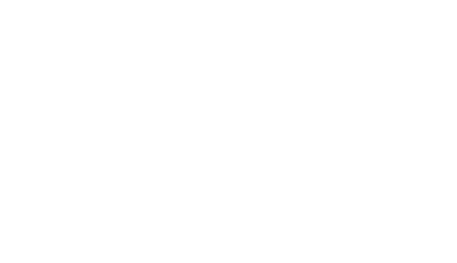 PARKSIDE logo